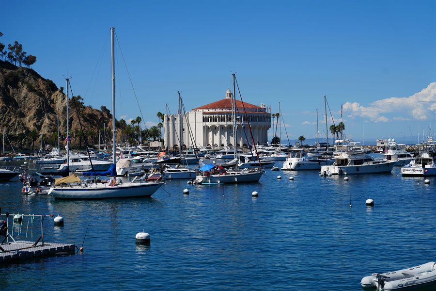 Avalon harbor