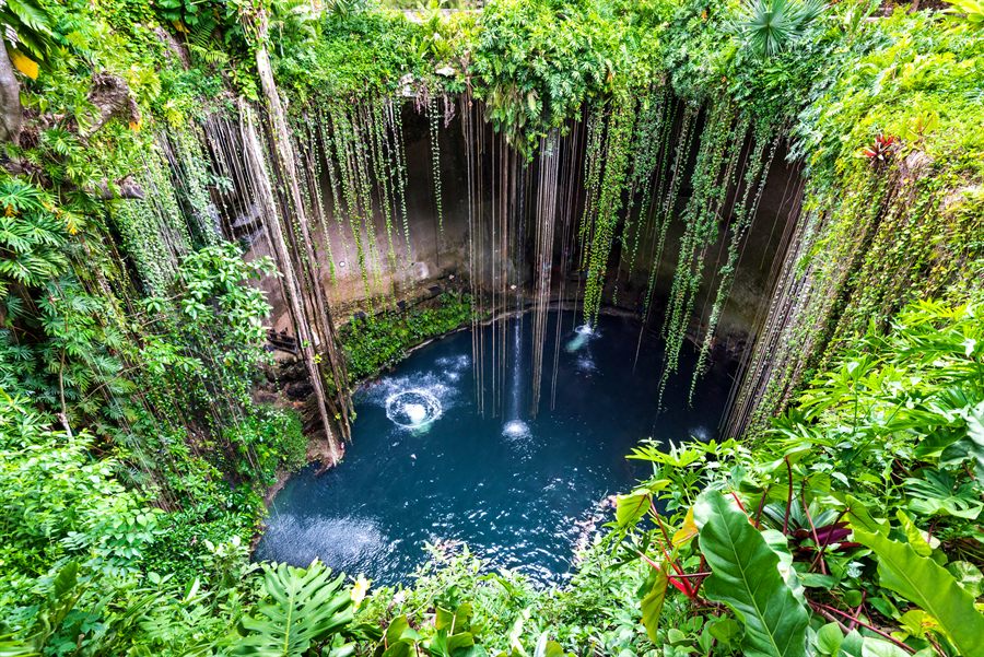 Yucatan cenote
